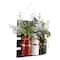 17&#x22; Christmas Pine 3-Piece Jar Hanging Artificial Arrangement
